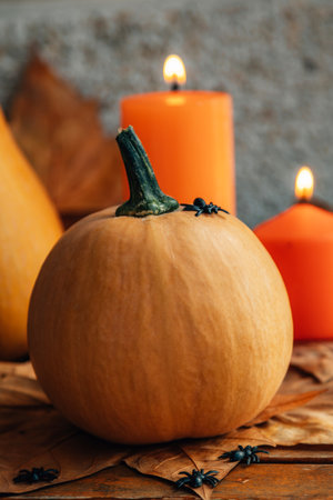 woman holding a pumpkin in each handの写真素材