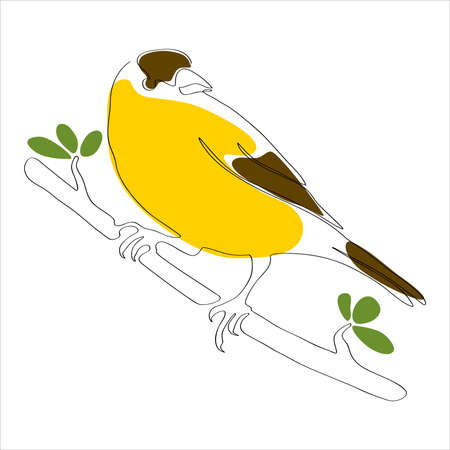 Illustration of a bird on a branch in one line drawing styleのイラスト素材
