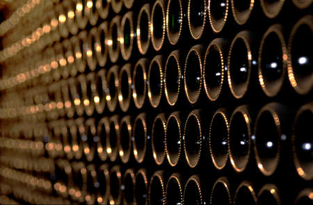 at the huge vine cellarの写真素材