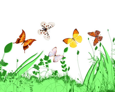 green summerの写真素材