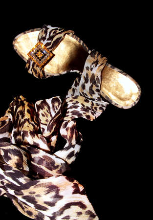 woman stylish shoeの写真素材