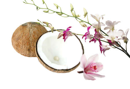 tropical memoriesの写真素材