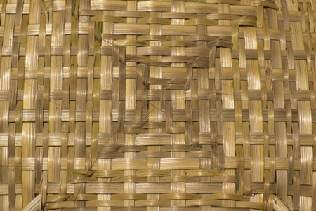 bamboo wood texture