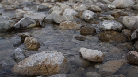 A rock in the river