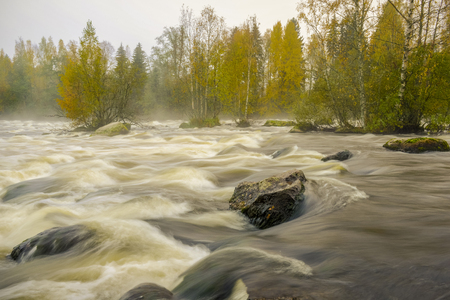 Flowing river scenery in septemberの写真素材