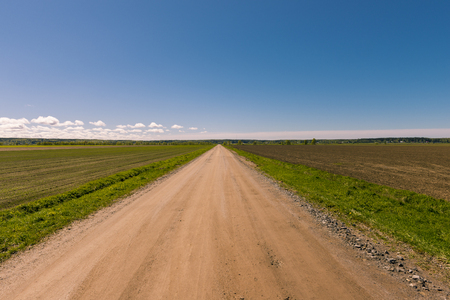 Long straight road trough the fields in springtimeの写真素材