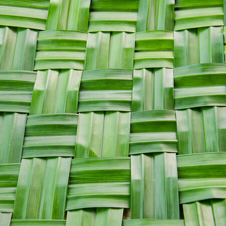 Pandan Leavesの写真素材