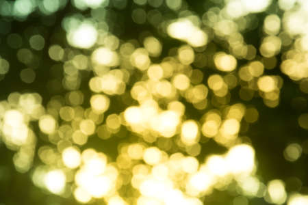 Bokeh backgroundの写真素材