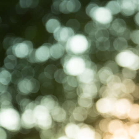 Bokeh backgroundの写真素材