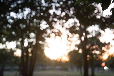 Bokeh backgroundの写真素材