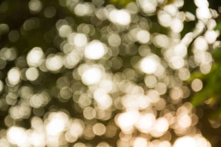 Bokeh backgroundの写真素材