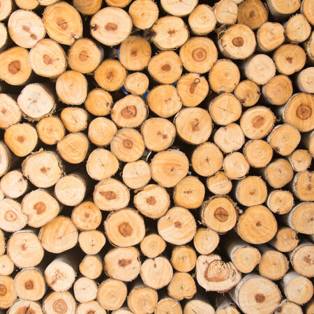 stacked Timbersの写真素材