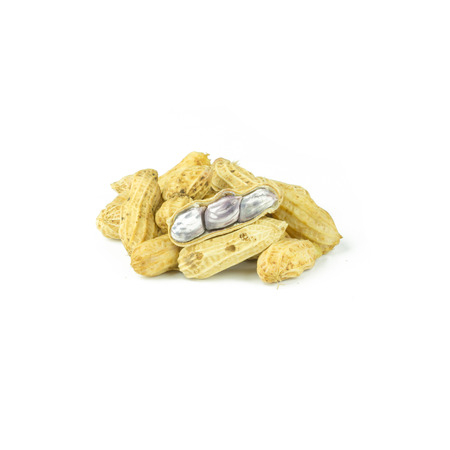 Isolated boiled or steamed fresh peanuts on white background