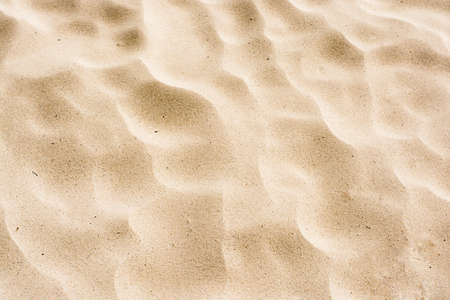 sand of a beach in the summer