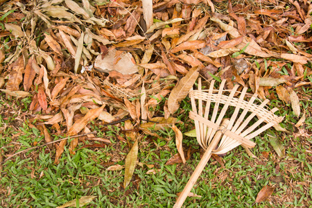 Wood, bamboo harrow and leaf dry