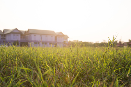 sunset green grass and buildingの写真素材