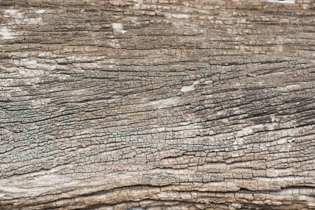 Old wood cracked textureの写真素材
