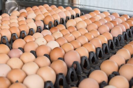 Eggs from chicken farm in the package that preserved for sale