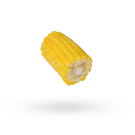 a sliced piece of yellow corn isolated on whiteの写真素材