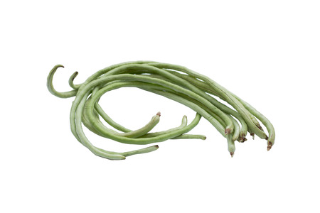 yardlong bean isolated on white background.の写真素材