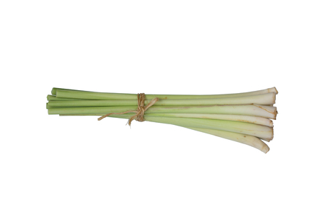 bundle of lemon grass isolated on whiteの写真素材