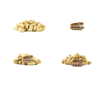 peanuts isolated on whiteの写真素材