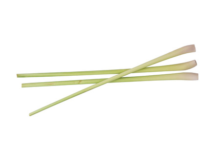 Lemon grass isolated on white backgroundの写真素材