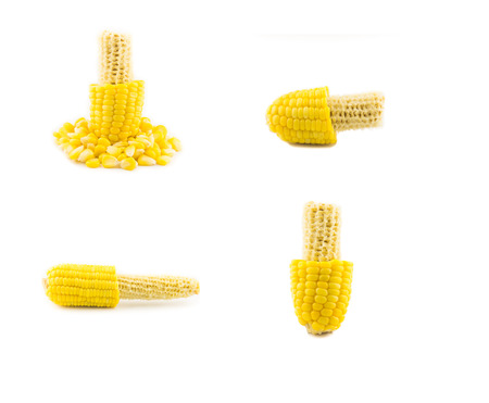 removing corn seed isolated on whiteの写真素材