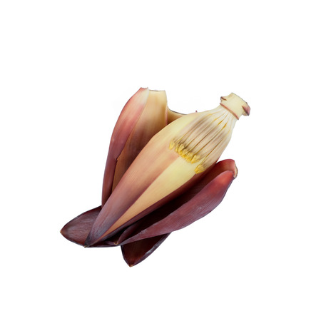 Banana blossom isolated on white backgroundの写真素材
