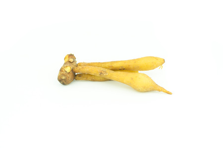 Fingerroot, Kaempfer, Boesenbergia isolate on white,Ingredients for Thai Cuisine.