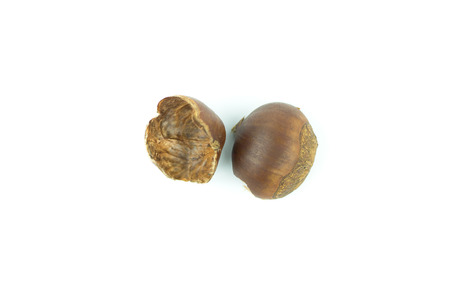 chestnuts shell isolated on white background