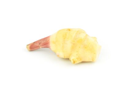 Greater galangal isolated on the white backgroundの写真素材