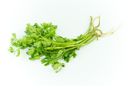 Green coriander isolation on a white background.の写真素材