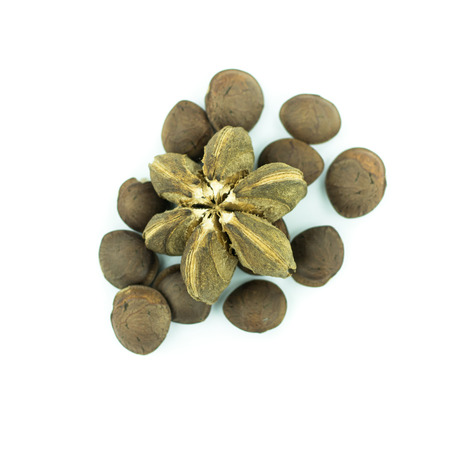 sacha inchi peanut seed isolated on white backgroundの写真素材