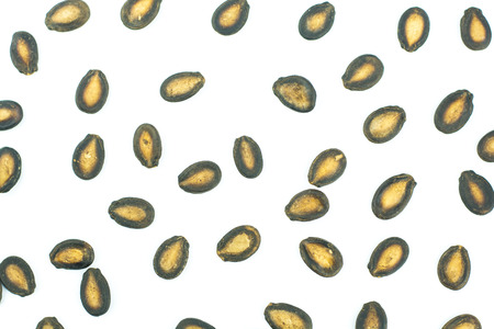 Watermelon seeds isolated on white backgroundの写真素材