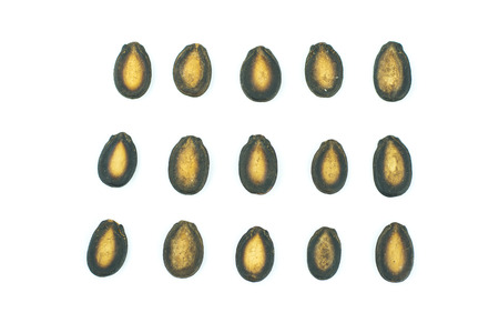 Watermelon seeds isolated on white backgroundの写真素材