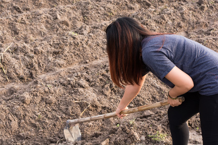 Woman farmer holding spade at field in nakhon phanom,Thailandの写真素材