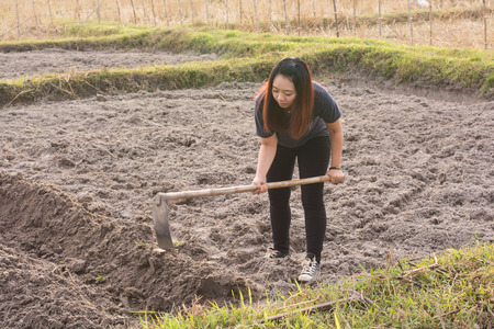 Woman farmer holding spade at field in nakhon phanom,Thailandの写真素材
