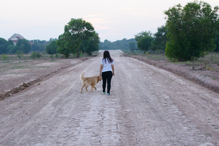 Woman and dog golden walkingの写真素材