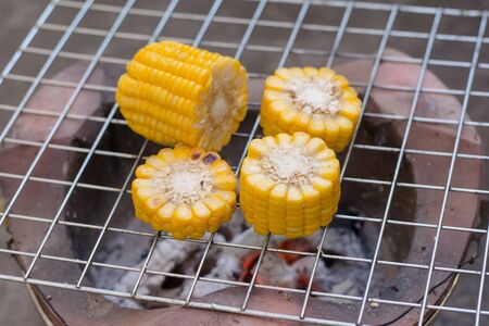 Cooking several fresh yellow brown golden corn cobsの写真素材