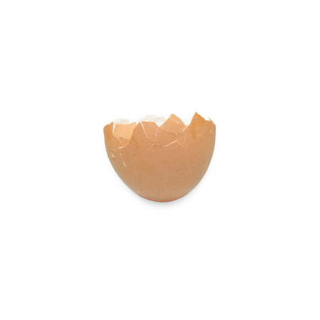 broken egg shell isolated on white background