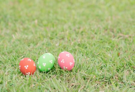 Colorful easter eggs on green grassの写真素材