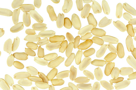 Arranged peanuts peeled and isolated on white background