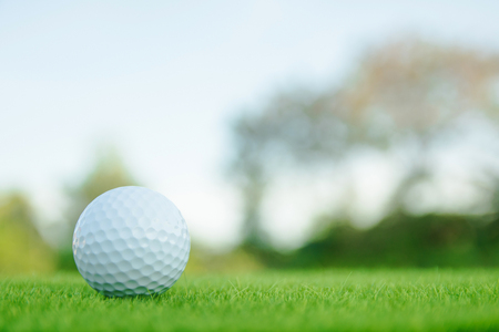 Golf ball on green grass ready to play at golf course. with copy spaceの写真素材