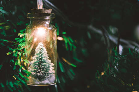Christmas decoration. Hanging small Christmas tree in glass jar on pine branches christmas tree garland and ornaments over abstract bokehの写真素材