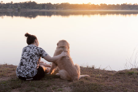Woman and Golden retriever dog sitting near river or lakeの写真素材