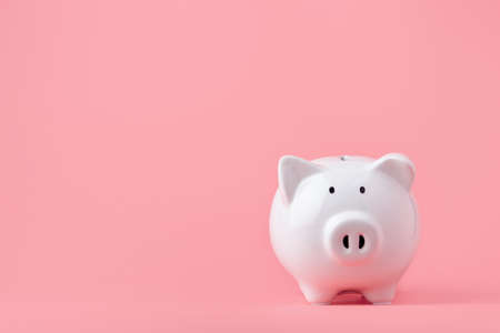 Money saving and investment concept. Piggy bank on pink background with copy spaceの写真素材