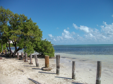 natural beach in miami at a sightseeingの写真素材