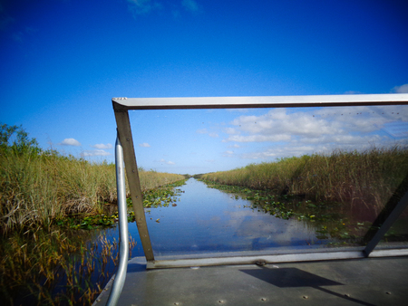 view from the boat at the everglades in floridaの写真素材