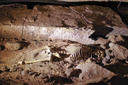 a skeleton in a cave at the groundの写真素材